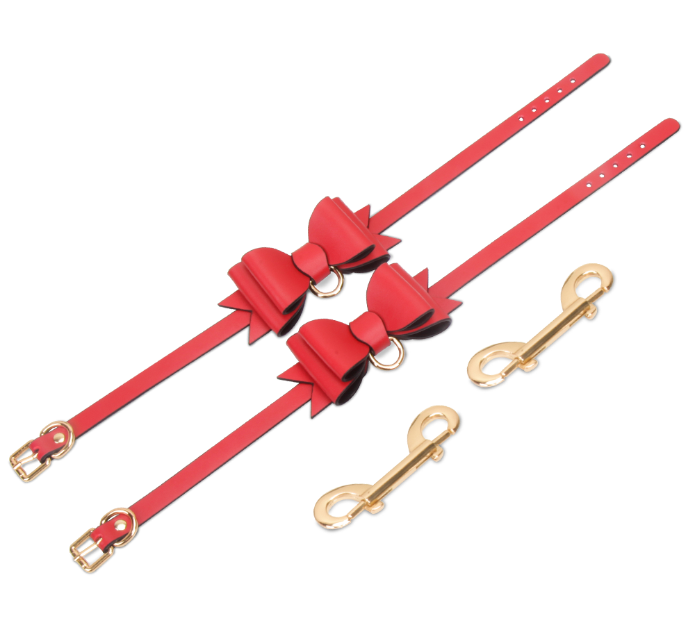 Birthday Gift|Red Leather Bondage Set